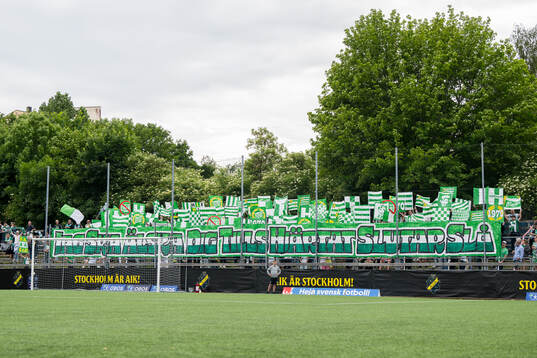 Hammarbys supportrar
