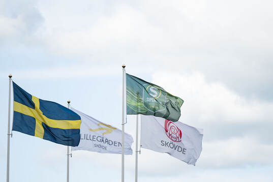 Flaggor på arenan