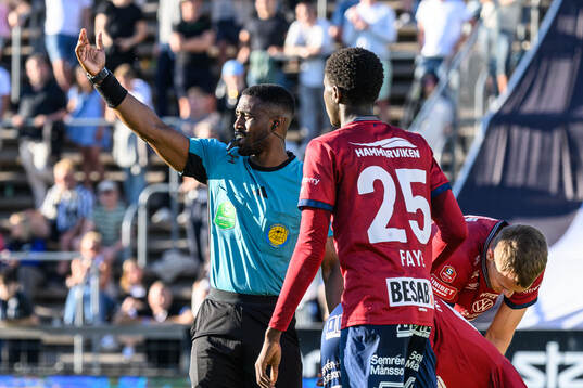 Domare Fredrik Oppong