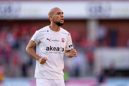 Helsingborgs Sumar Almadjed