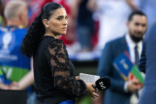 Swedish television reporter Reyhaneh Rouhani