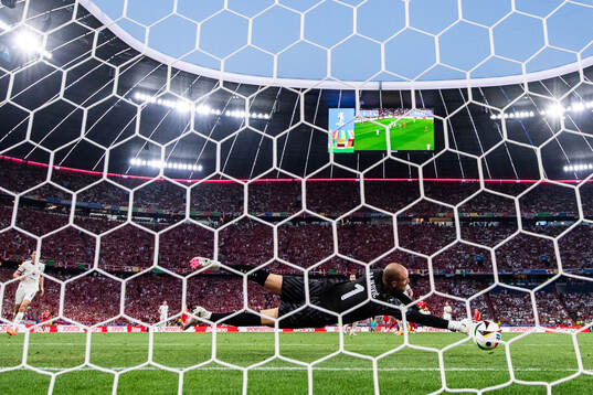 Goalkeeper Predrag Rajkovic of Serbia