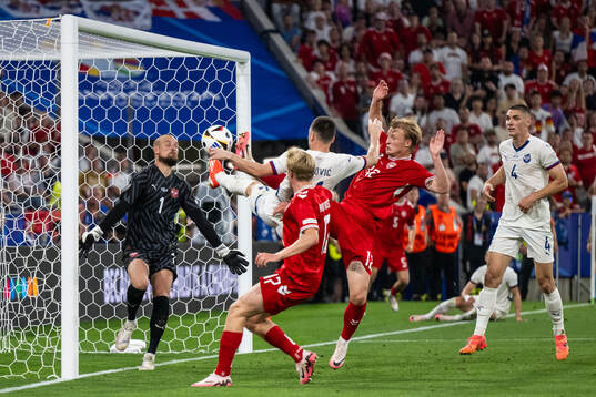 Goalkeeper Predrag Rajkovic and Nikola Milenkovic of Serbia