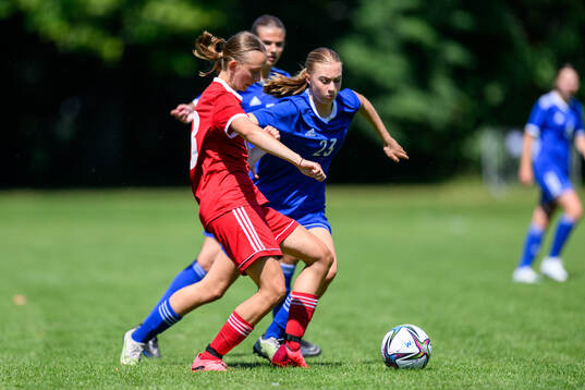 Felizia Nilsson, Narverud Hammarby IF FF
