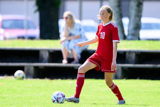 Ebba Hedlund, Hammarby IF FF