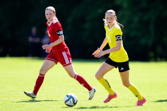 Stina Hestholm, Västerviks damfotboll IF