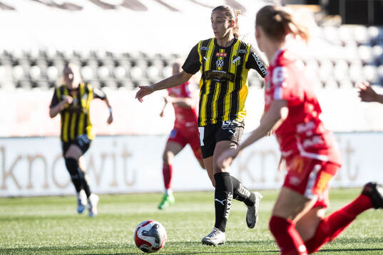 Häckens Rusul Rosa Kafaji