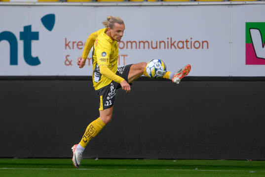 Elfsborgs Niklas Hult