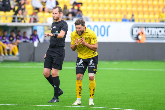 Domare Pontus Karlsson och Elfsborgs Arber Zeneli som deppar