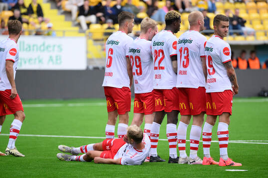 Fredrikstads mur