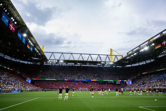 Supporters of Denmark
