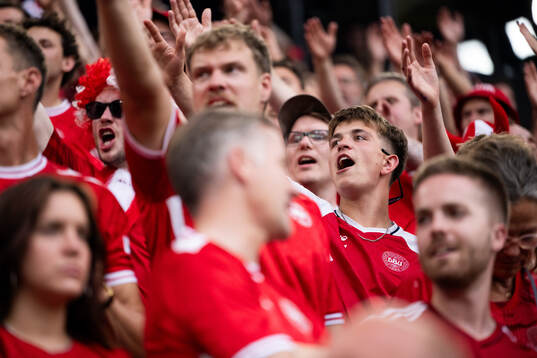 Supporters of Denmark