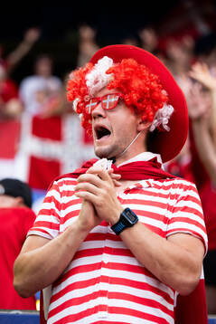 Supporters of Denmark