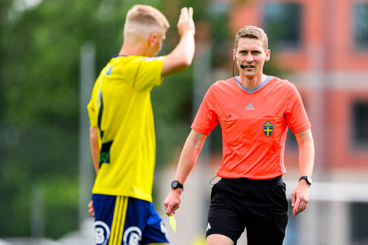 Domare Rasmus Eriksson
