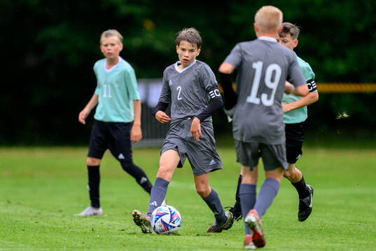 Ludwig Arvidsson, Halmstads BK