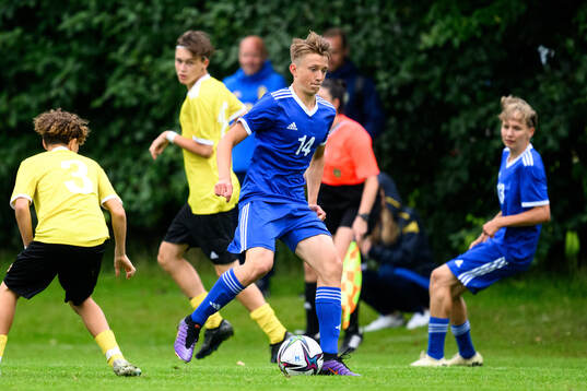 Jakob Jensen, Hammarby TFF Herrfotboll