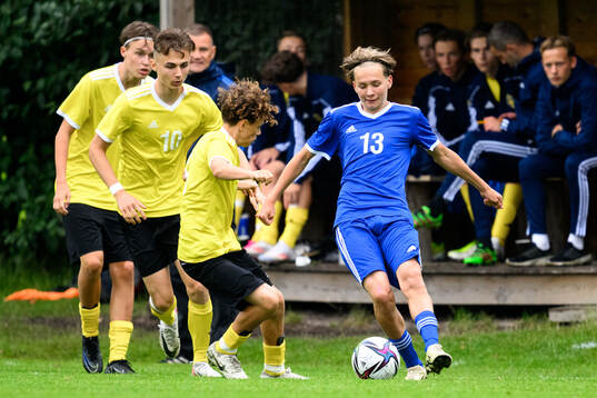 Hugo Hoffsten, Hammarby IF FF