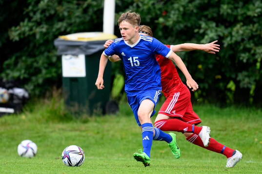 Noah Ljungblom, Hammarby TFF Herrfotboll
