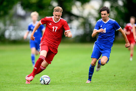 Eklund FC, Nordsjälland och Nemanja Stankovic, Nybro IF