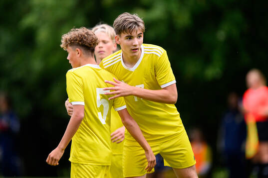 Luka Bolbotinovic, Djurgårdens IF FF jublar