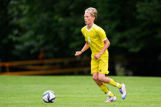 Vincent Kjellme, Hammarby IF FF
