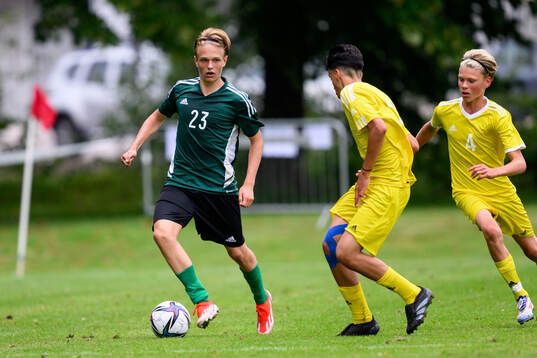 Filip Werner, IFK Norrköping FK