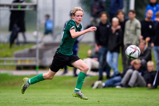 Sam Emanuelsson, Falkenbergs FF