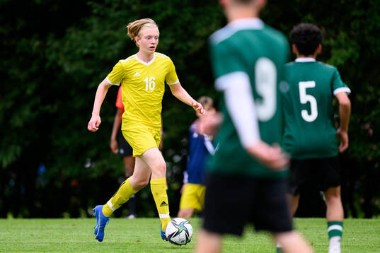 Hampus Thorsson, Hammarby TFF Herrfotboll
