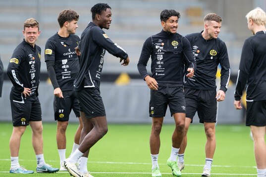 Eggert Aron Gudmundsson, Besfort Zeneli, Jalal Abdullai,