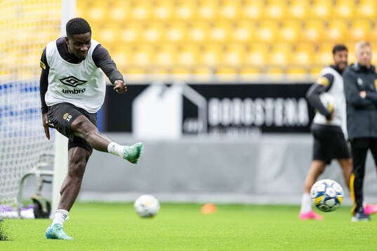 Michael Baidoo