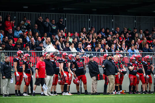 Carlstad Crusaders spelare