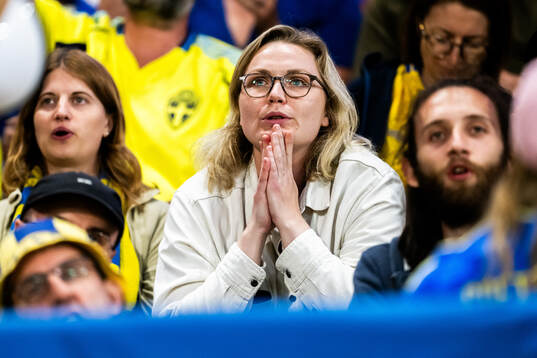 Supporters of Sweden