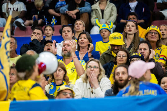 Supporters of Sweden