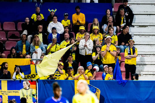 Supporters of Sweden