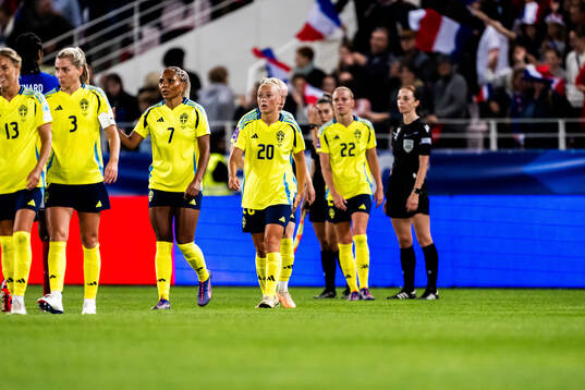 Players of Sweden