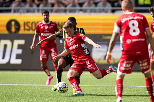 Elfsborgs Eggert Aron Gudmundsson