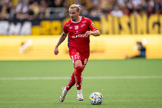 Elfsborgs Niklas Hult