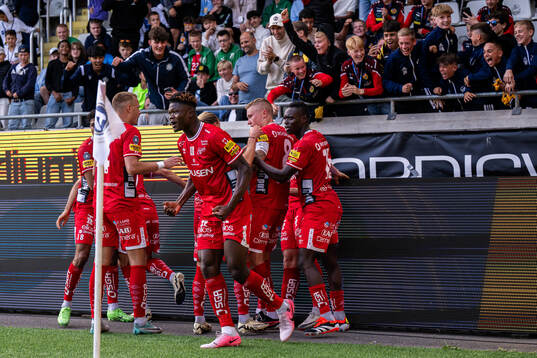 Elfsborgs spelare  jublar