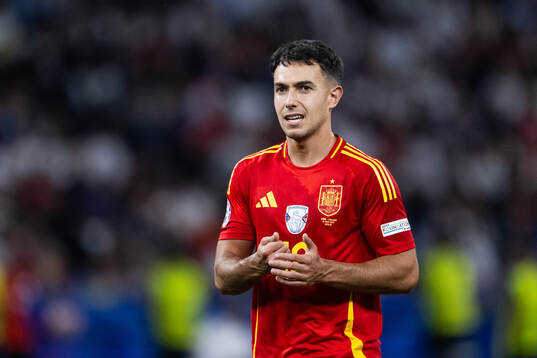 Martin Zubimendi of Spain