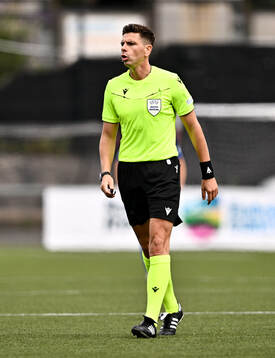 Referee Marian Barbu