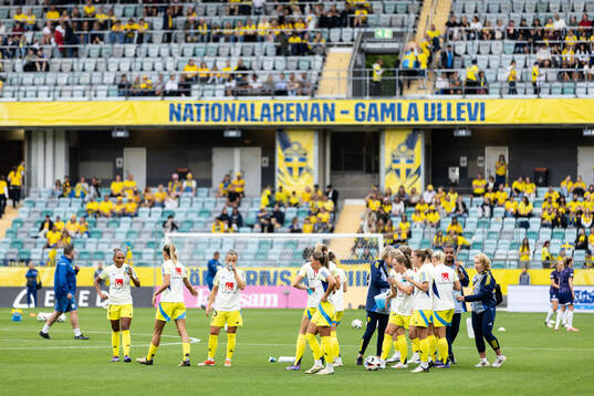 Players of Sweden