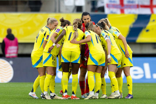 Players of Sweden