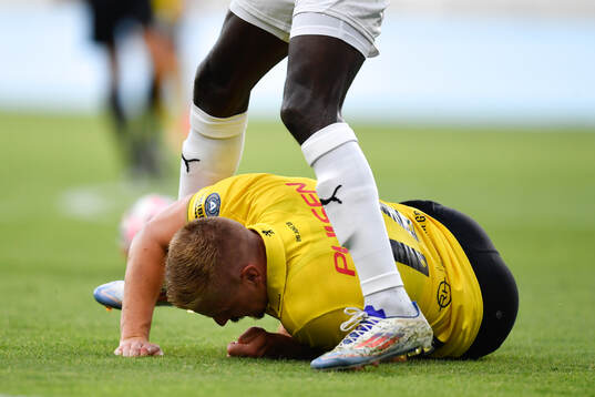 Per Frick of Elfsborg