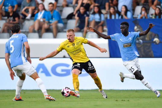 Per Frick of Elfsborg
