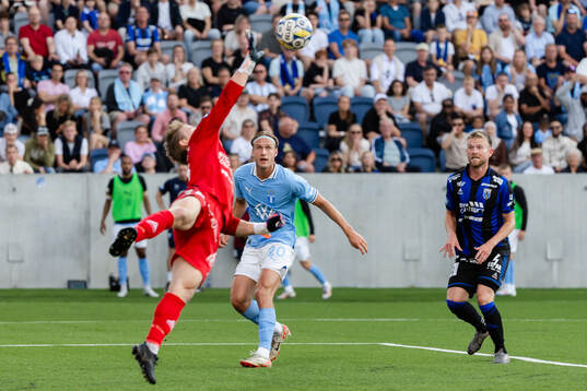 Malmö FFs Erik Botheim