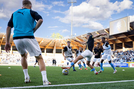 Malmö FFs Erik Botheim
