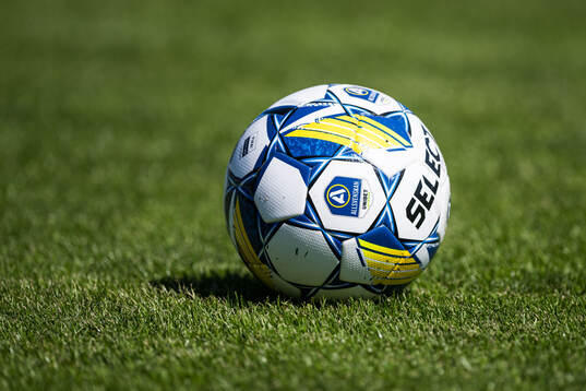 En fotboll på gräsmattan
