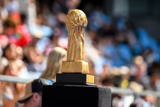 En pokal