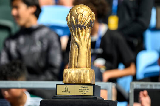En pokal