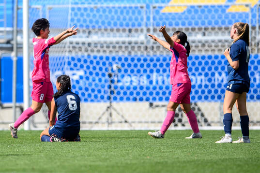 Cerezo Osakas spelare jublar